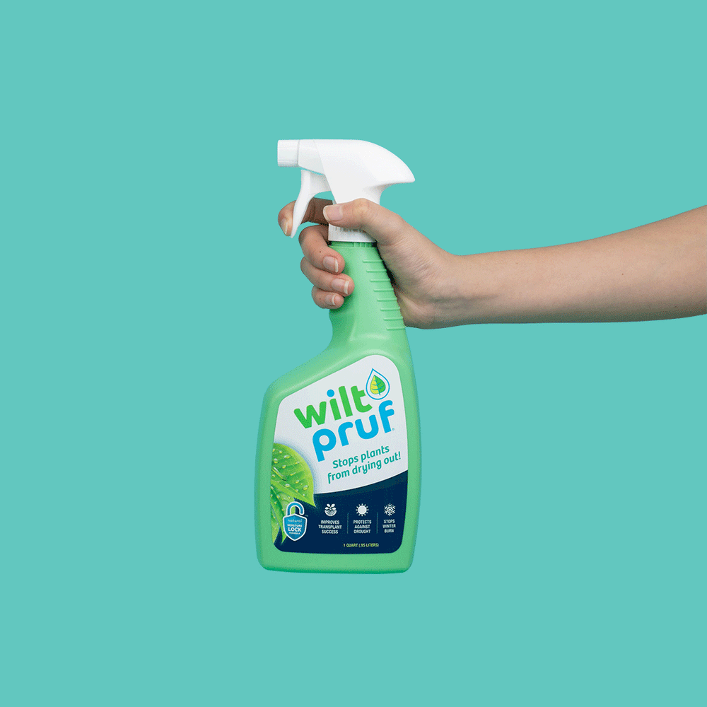 Original | Winter Plant Protector | Ready-to-Spray (32 oz)