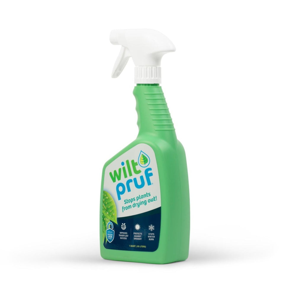 Original | Winter Plant Protector | Ready-to-Spray (32 oz)