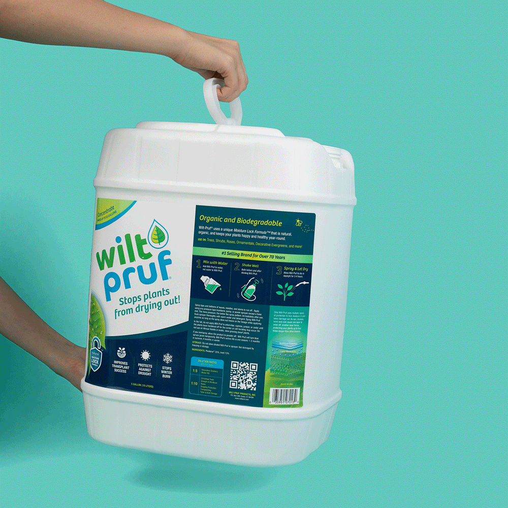 5 Gallon Concentrate