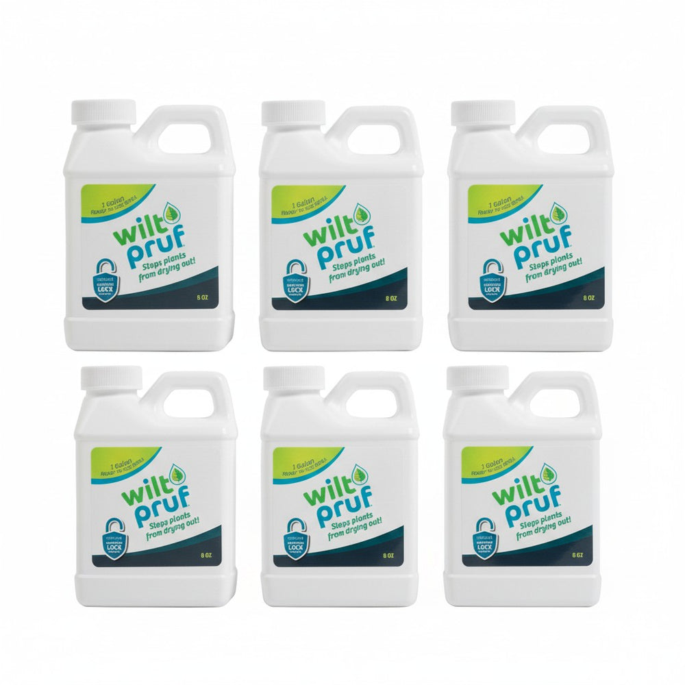 1 Gallon Electric Ready-to-Spray Refill | 8oz (Pack of 6)