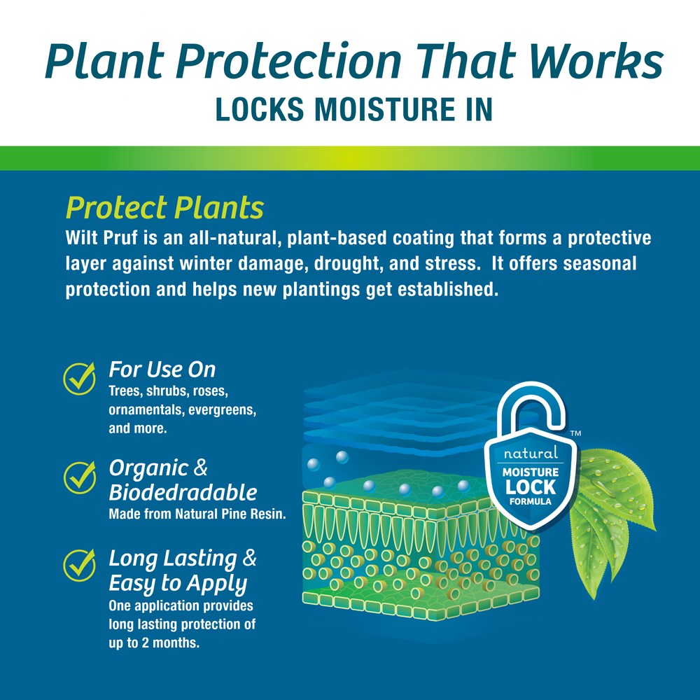 Drought Guard™ | Plant Protector | Ready-to-Spray (32 oz)