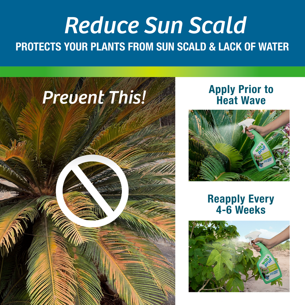 Drought Guard™ | Plant Protector | Ready-to-Spray (32 oz)
