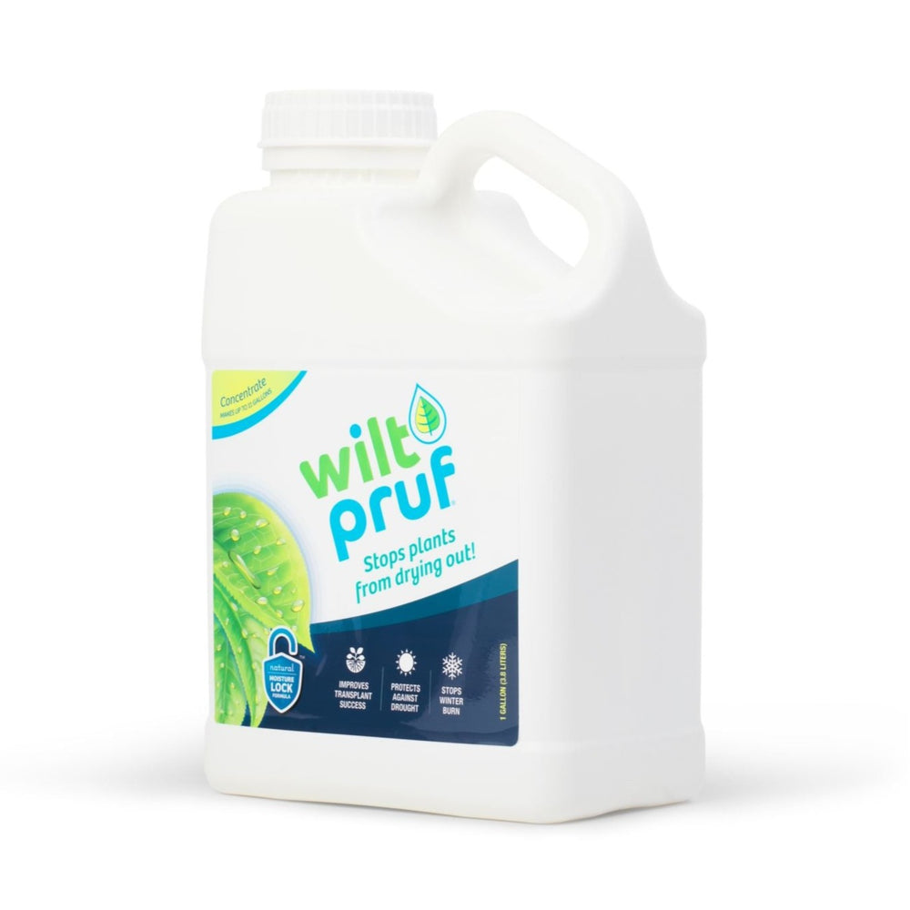 1 Gallon Concentrate