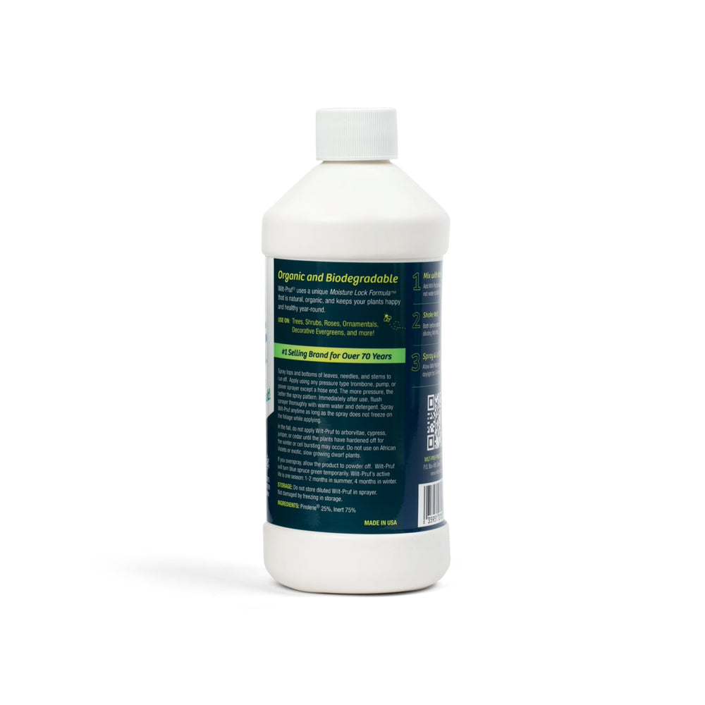 16 oz Concentrate