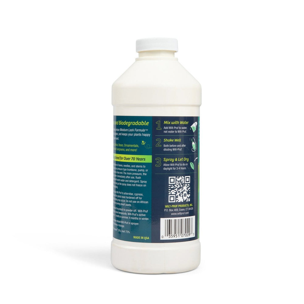 32 oz Concentrate