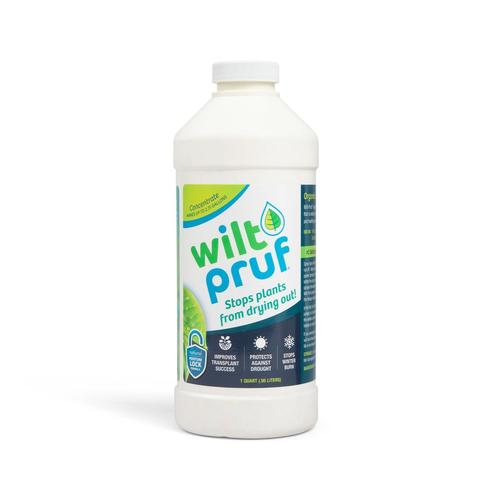 32 oz Concentrate