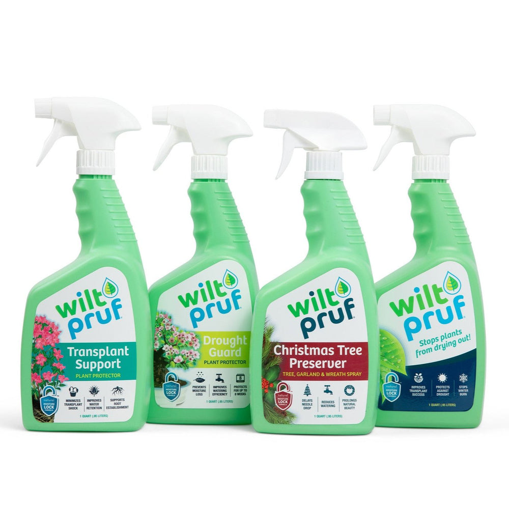 Original | Winter Plant Protector | Ready-to-Spray (32 oz)