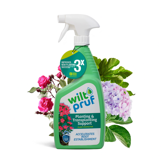 Transplant Support™ Plant Protector | Ready-to-Spray (32 oz)