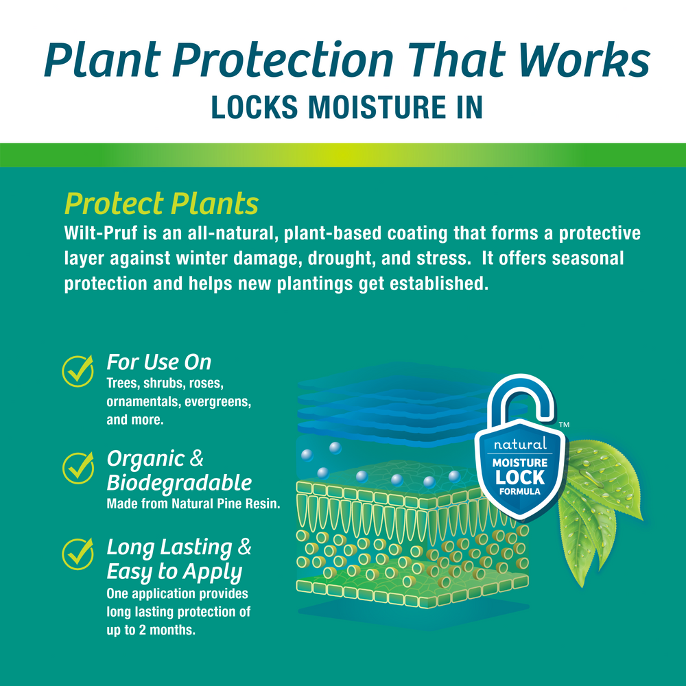 Transplant Support™ Plant Protector | Ready-to-Spray (32 oz)
