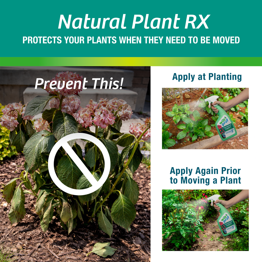 Transplant Support™ Plant Protector | Ready-to-Spray (32 oz)