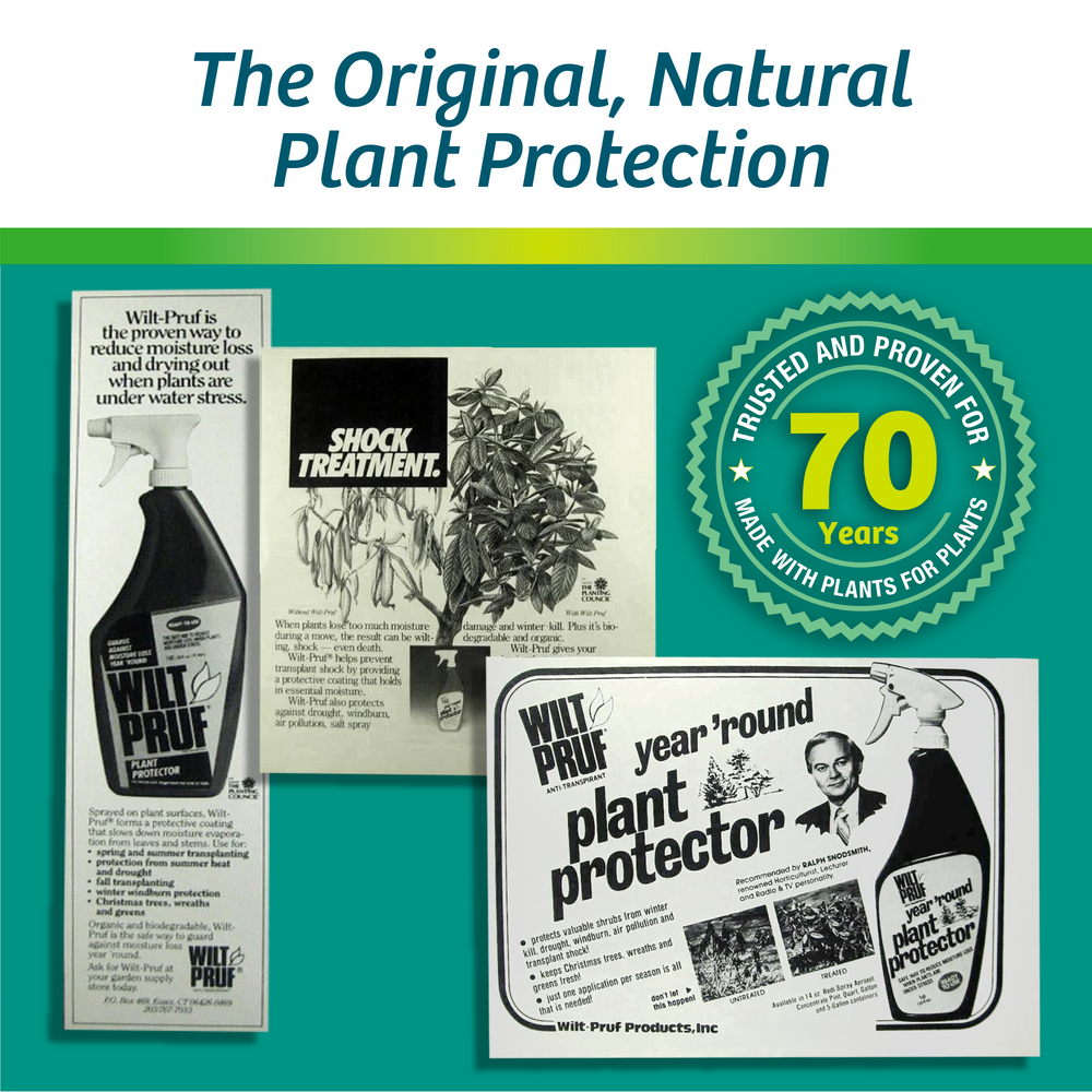 Transplant Support™ Plant Protector | Ready-to-Spray (32 oz)