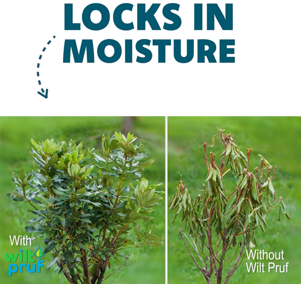 Wilt-Pruf® Concentrate Transplant Success Bundle