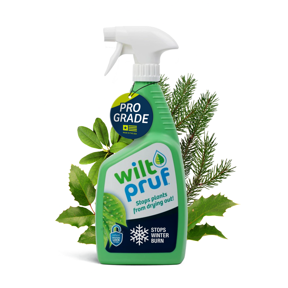 Original | Winter Plant Protector | Ready-to-Spray (32 oz)