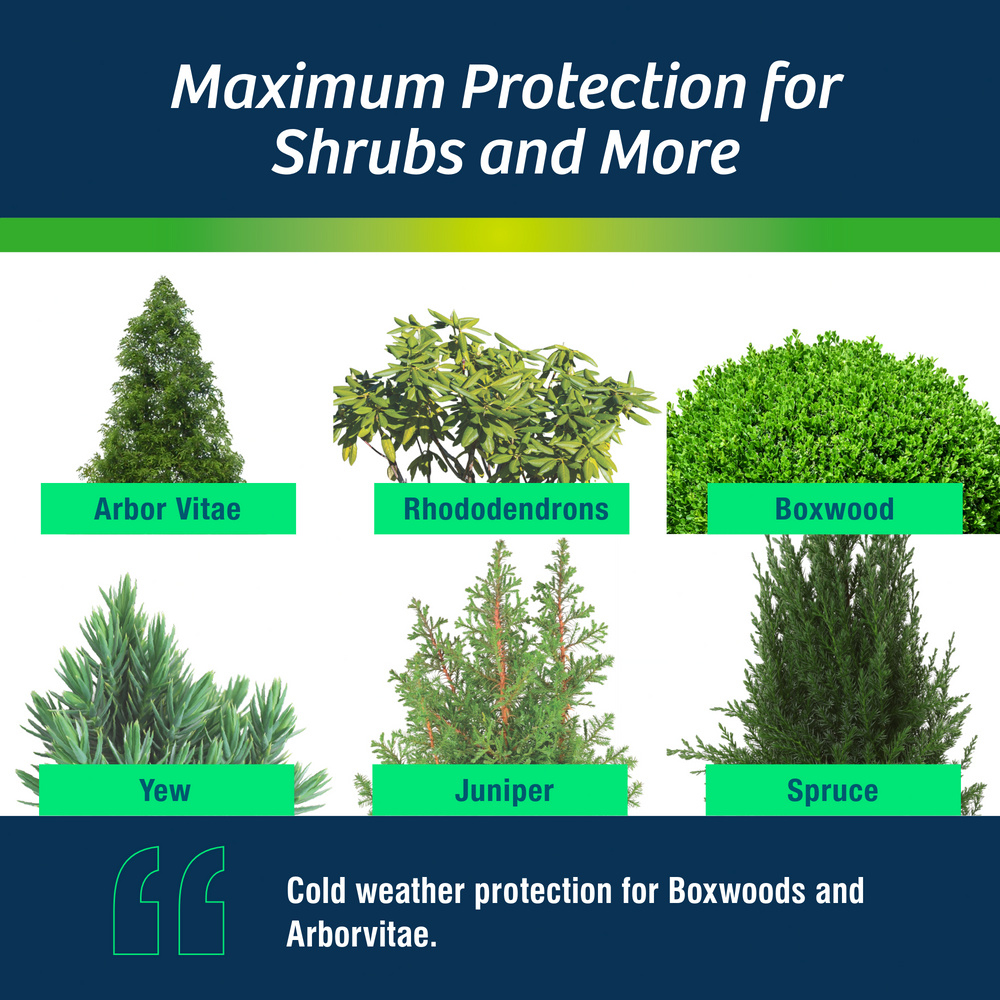 Original | Winter Plant Protector | Ready-to-Spray (32 oz)