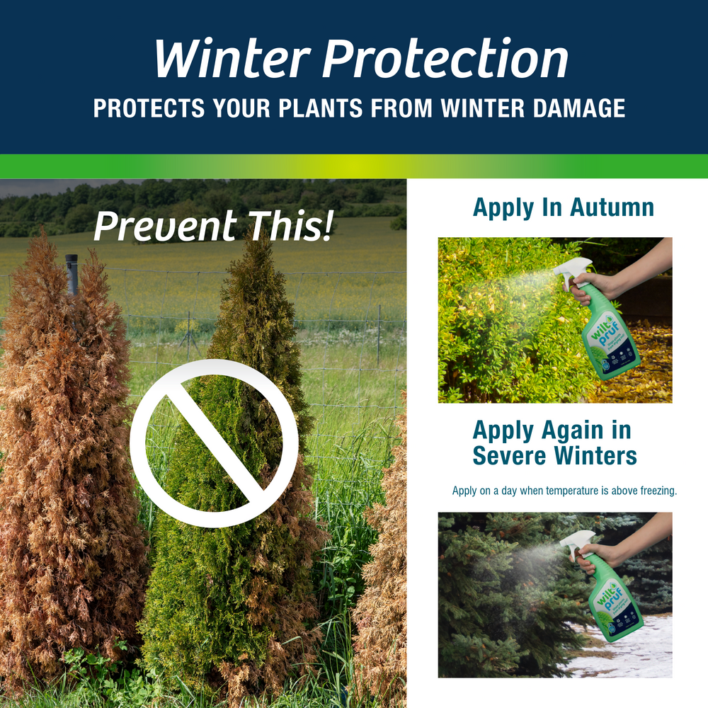 Original | Winter Plant Protector | Ready-to-Spray (32 oz)