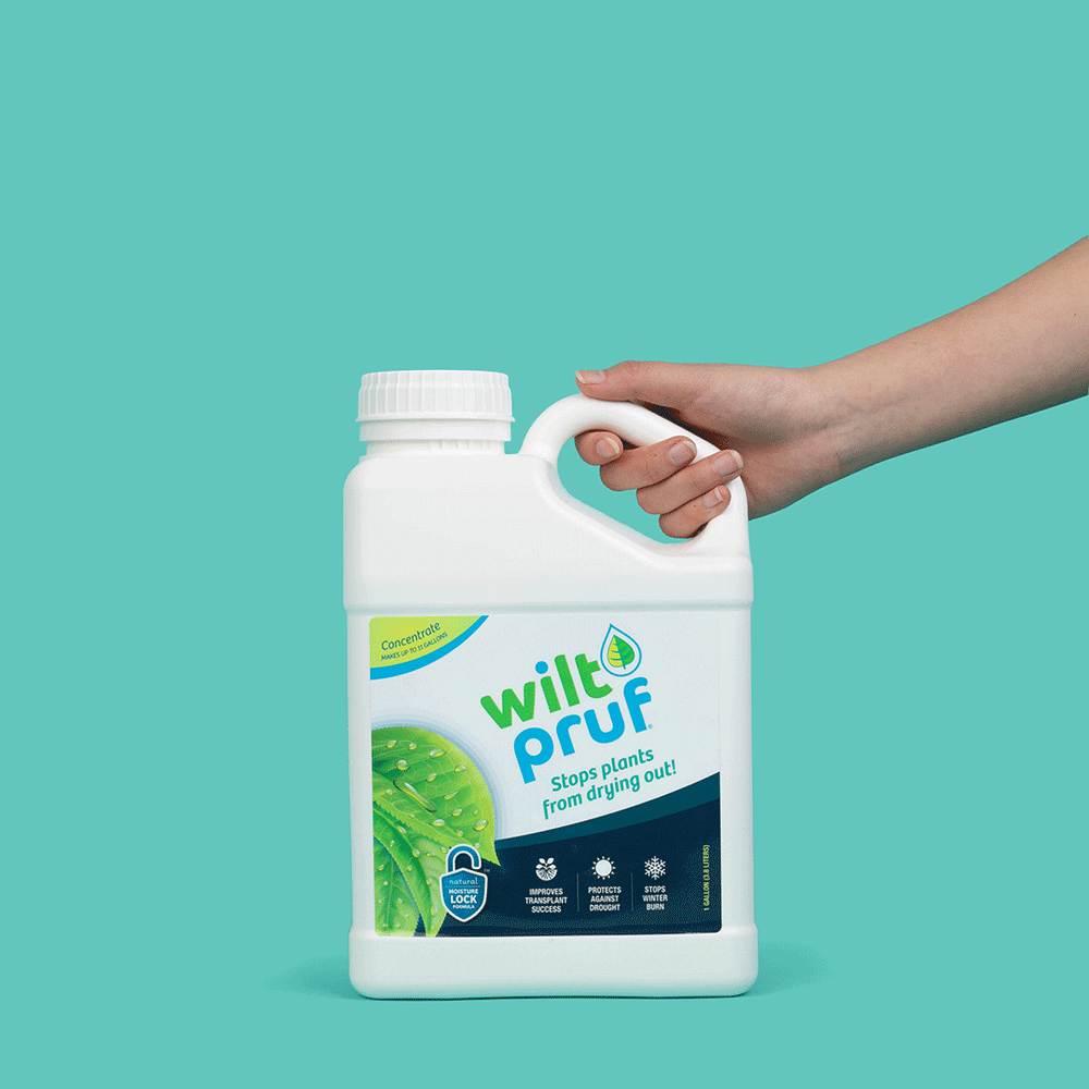 Wilt-Pruf® Concentrate, 1 Gallon