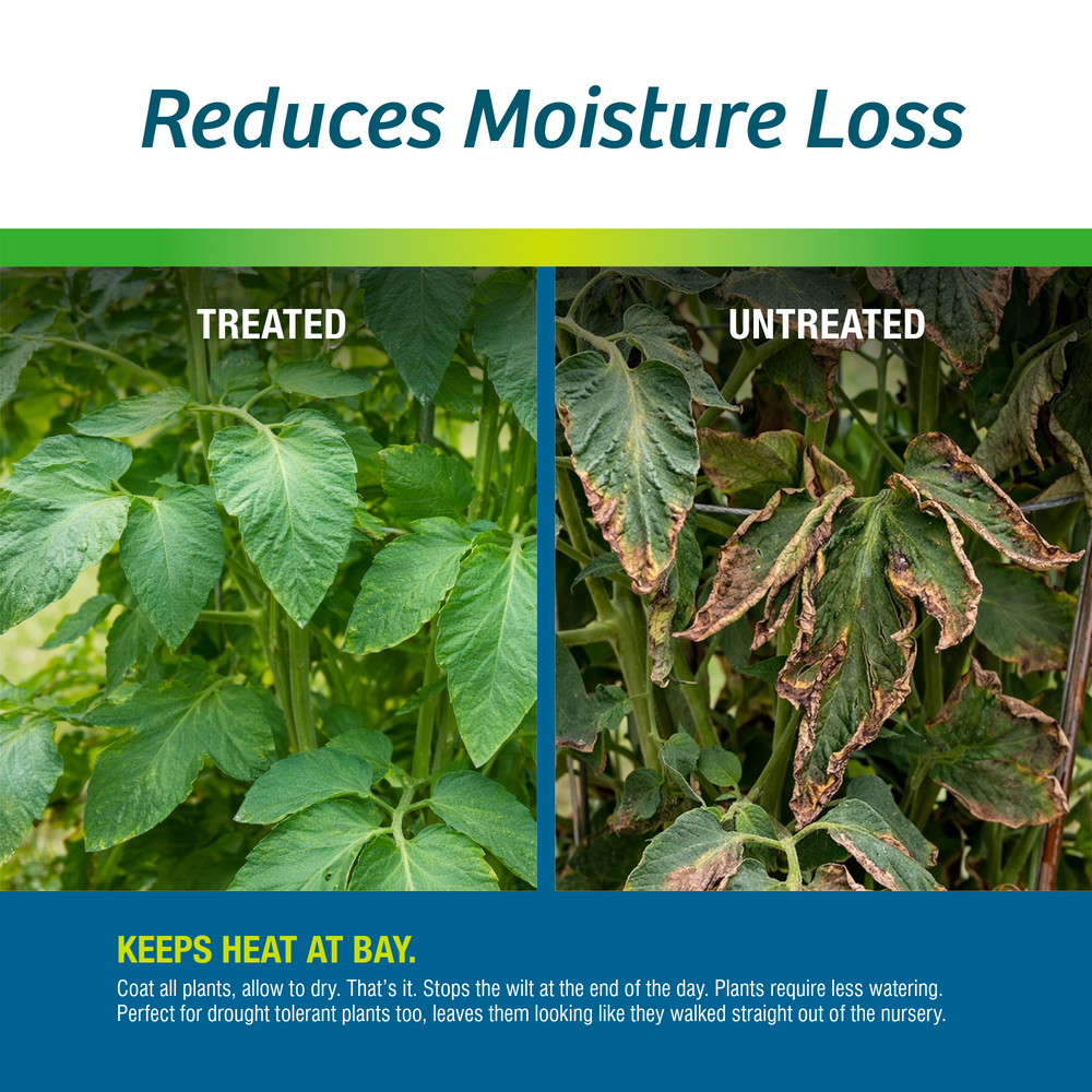 Drought Guard™ | Plant Protector | Ready-to-Spray (32 oz)