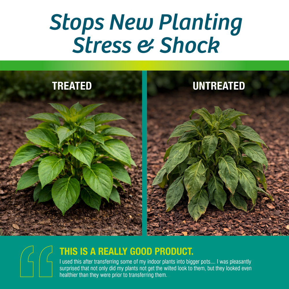 Transplant Support™ Plant Protector | Ready-to-Spray (32 oz)