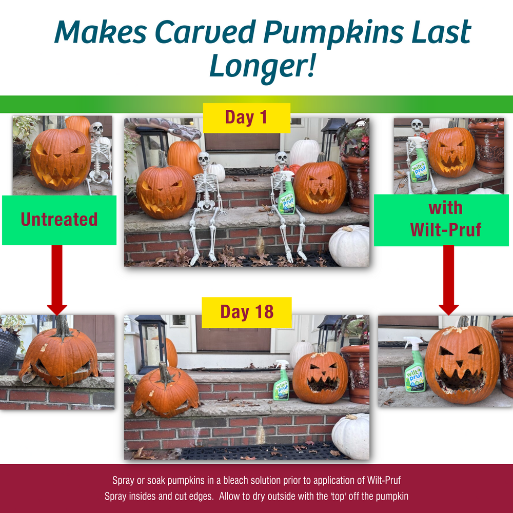 Christmas Tree Preserver™| Holiday Extender| Ready-to-Spray (32oz)