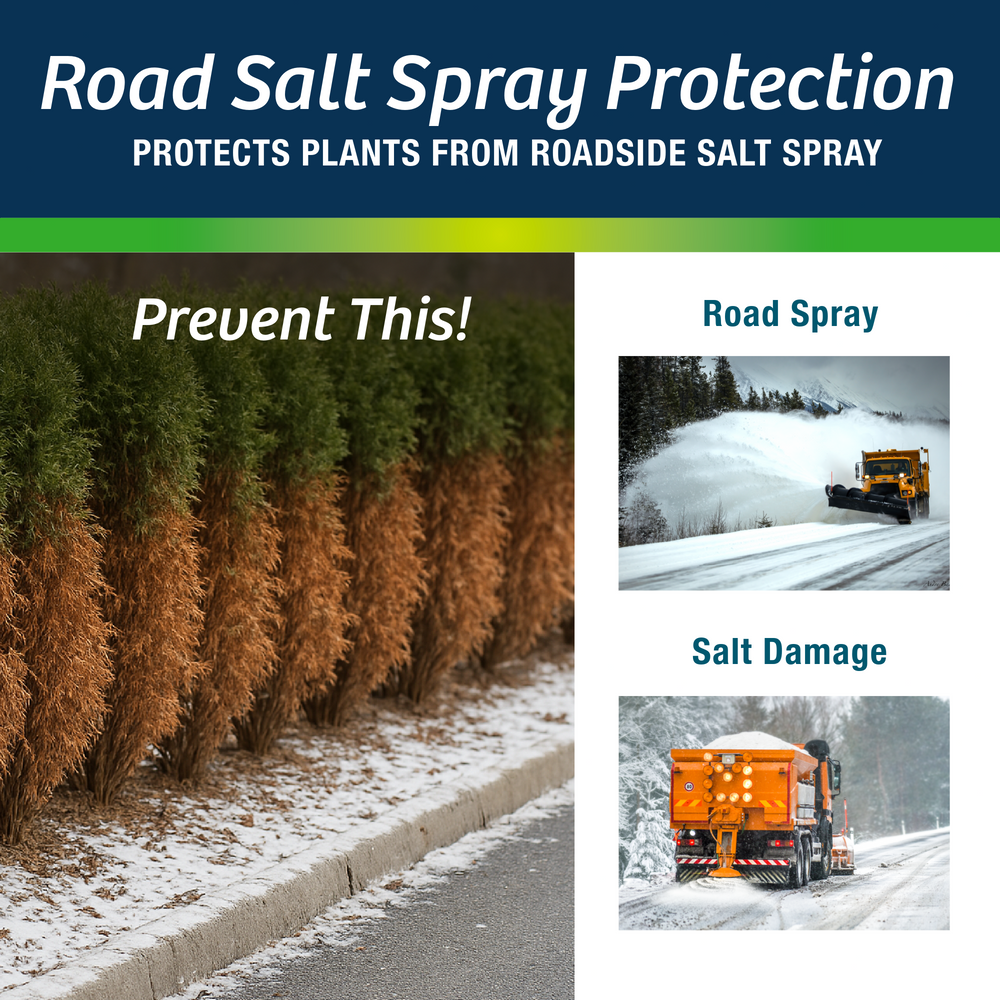 Original | Winter Plant Protector | Ready-to-Spray (32 oz)