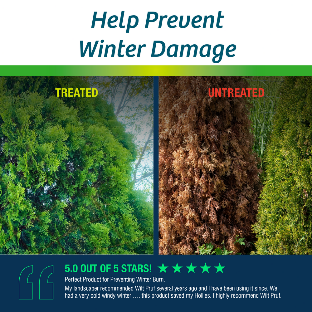 Original | Winter Plant Protector | Ready-to-Spray (32 oz)