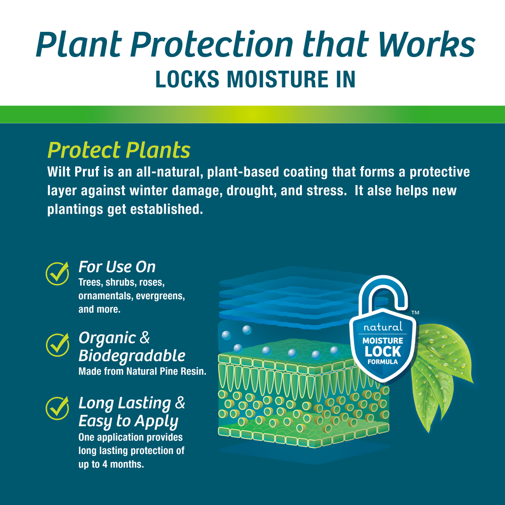 1 Gallon Electric Ready-to-Spray Bundle (128 oz) | Multi-Season Plant Protector