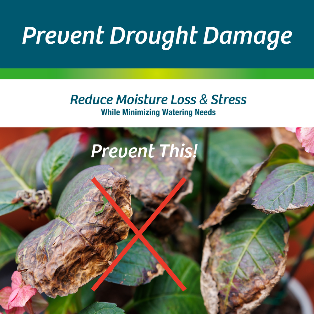 1 Gallon Electric Ready-to-Spray Bundle (128 oz) | Multi-Season Plant Protector