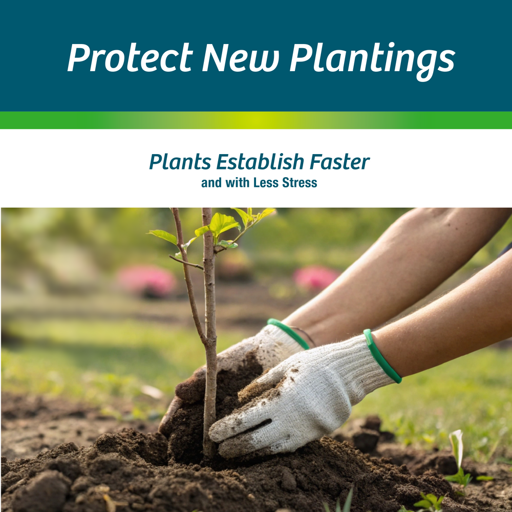 1 Gallon Electric Ready-to-Spray Bundle (128 oz) | Multi-Season Plant Protector